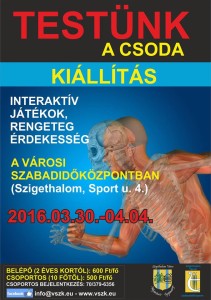 Testünk a csoda